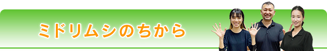 ミドリムシのちから