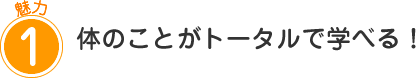 魅力1体のことがトータルで学べる